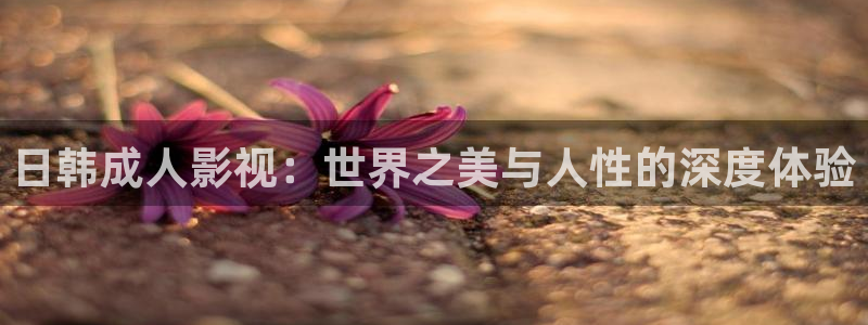 桔子影视大全免费看电视剧：日韩成人影视：世界之美与人性的深度体验